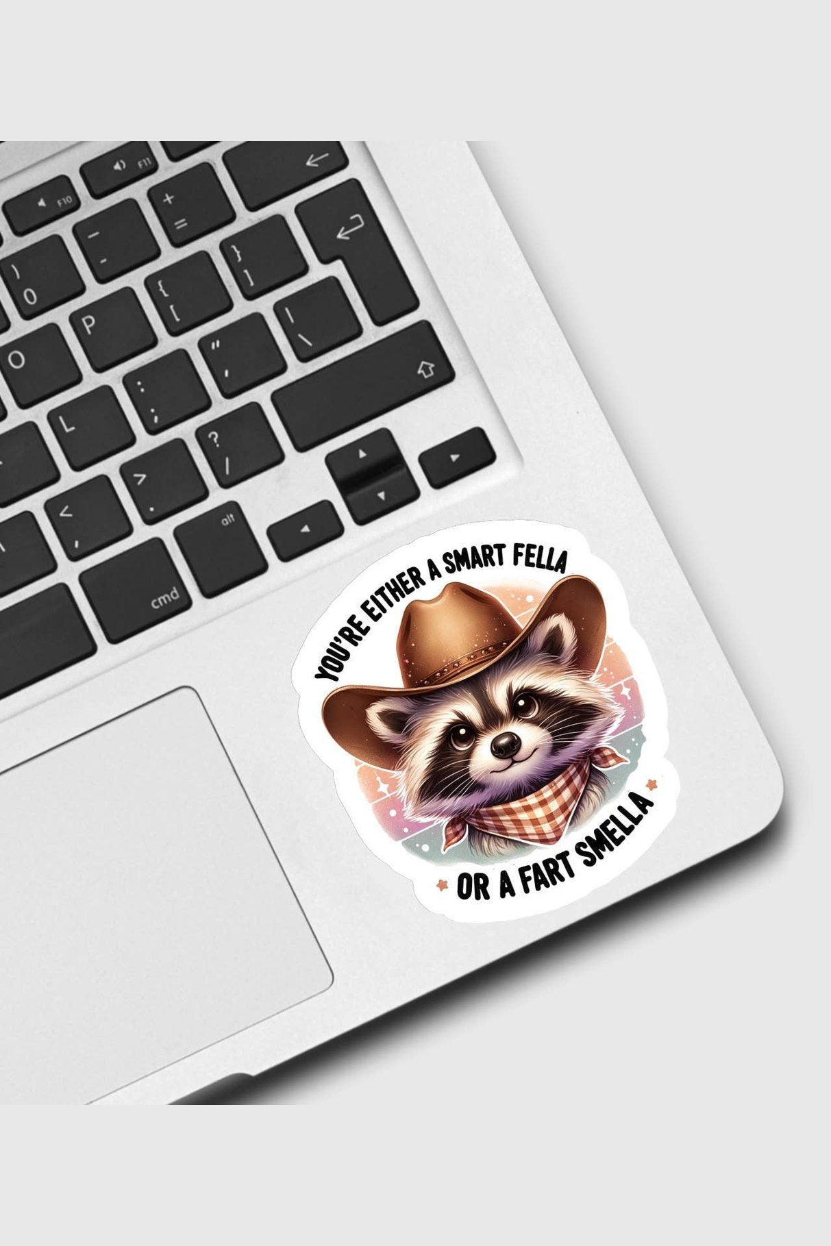 Smart Fella or Fart Smella Raccoon Sticker