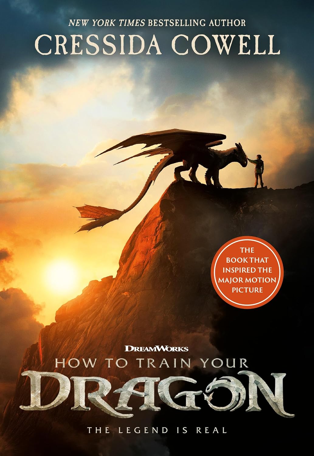 How To Train Your Dragon by Cressida Cowell
