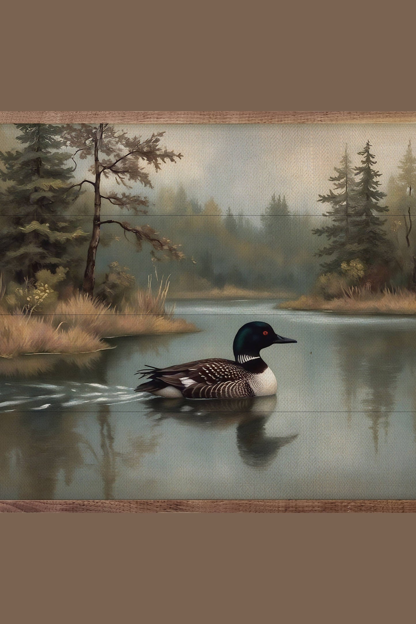 Loon In Pine Lake Print