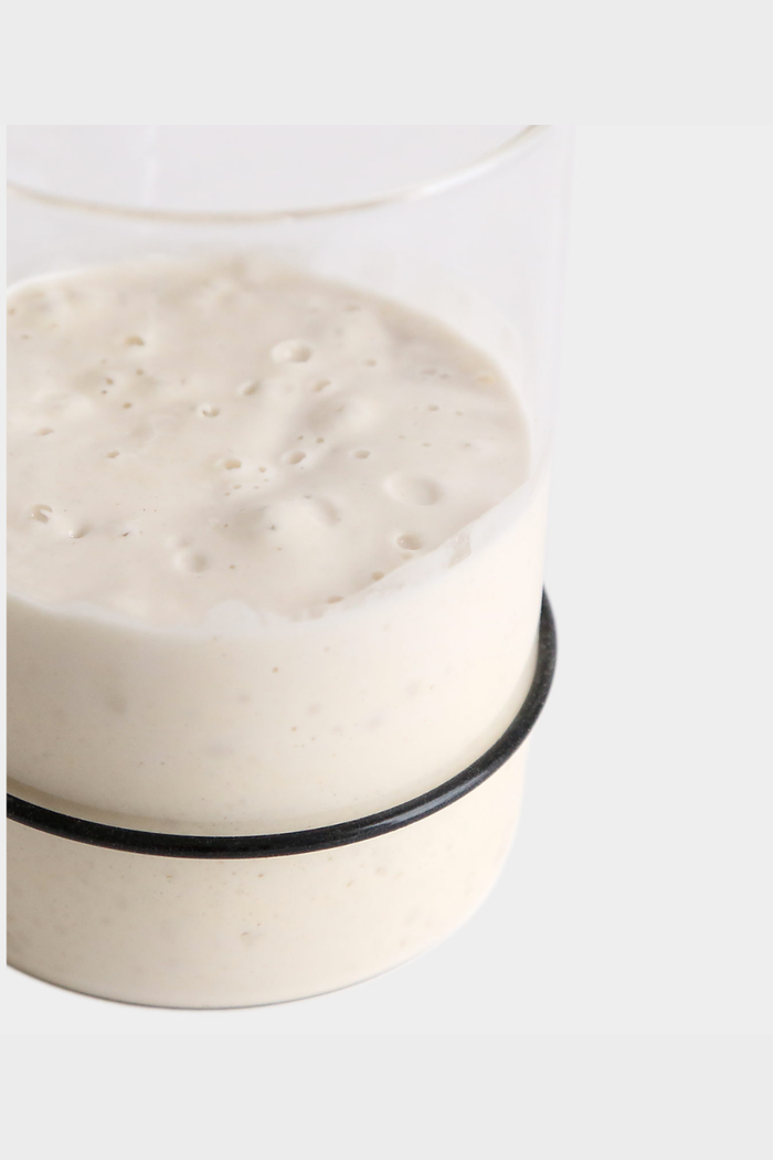 Breadtopia Sourdough Starter Kit