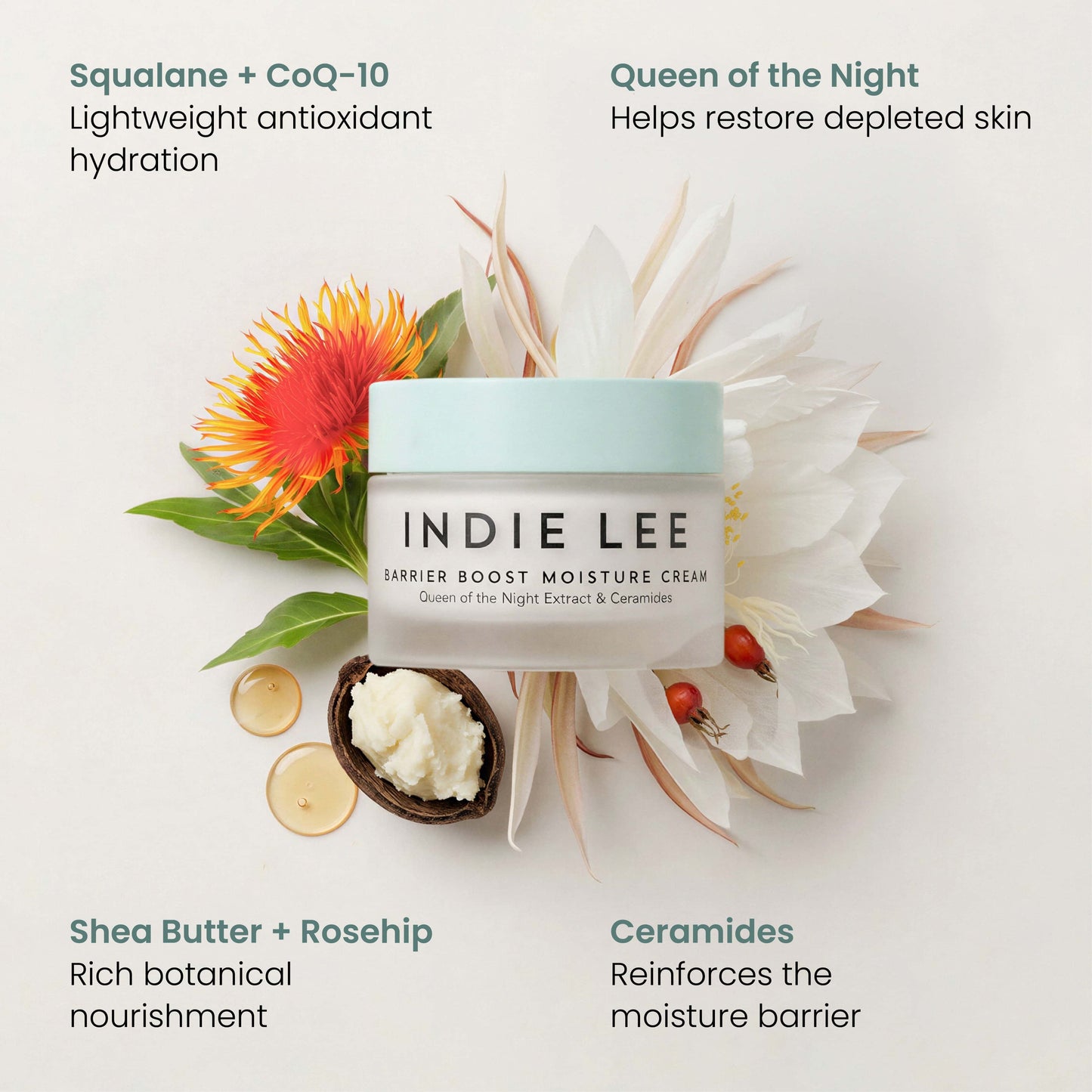 Barrier Boost Moisture Cream