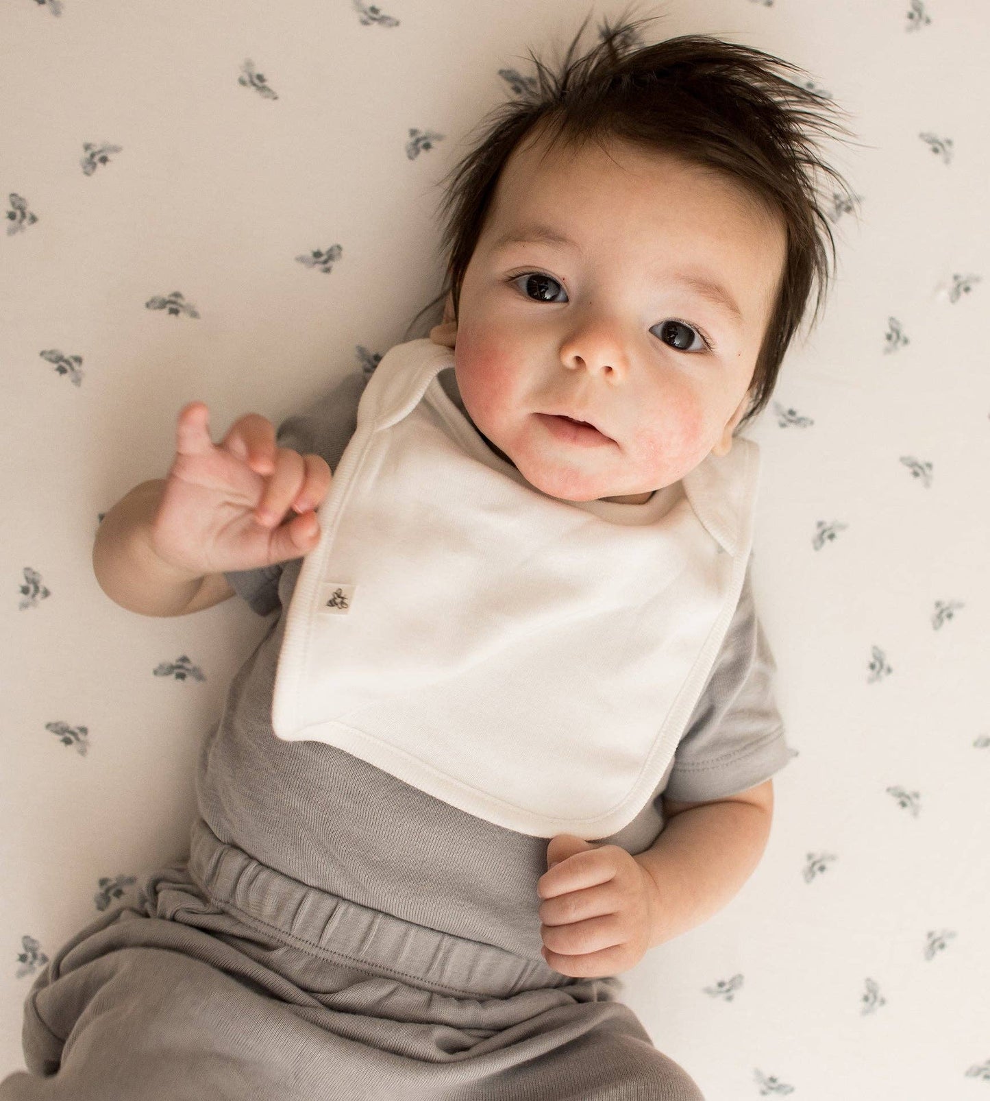 Hello Moon Organic Cotton Baby Bibs 5 Pack: Quarry / One Size