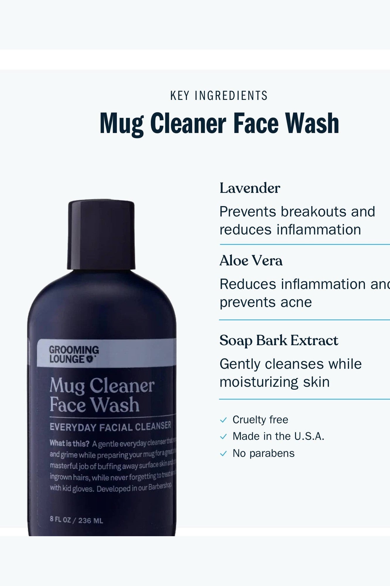 Mug Cleaner Face Wash - Everyday Facial Cleanser