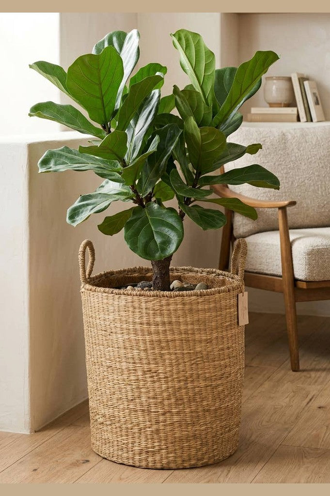 Seagrass Floor Basket with Handles