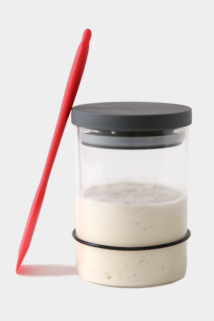 Breadtopia Sourdough Starter Kit