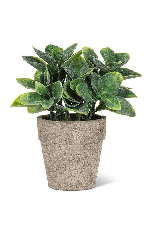 Small Spade Leaf Plant Pot
