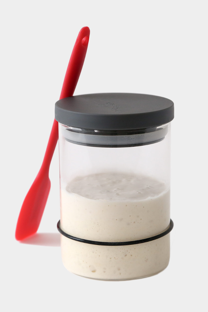 Breadtopia Sourdough Starter Kit