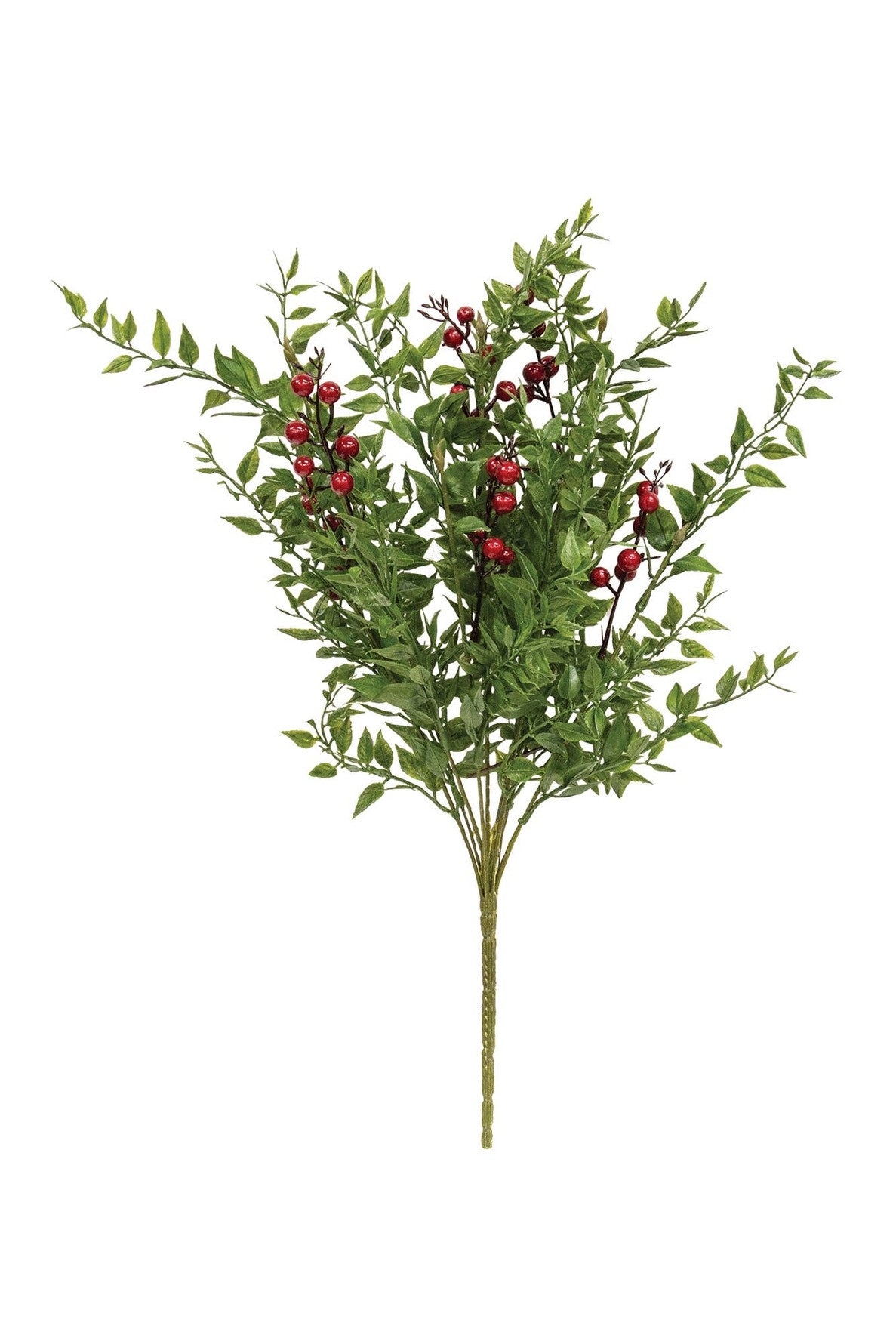 Lady Ruscus & Berries Bush - 19"