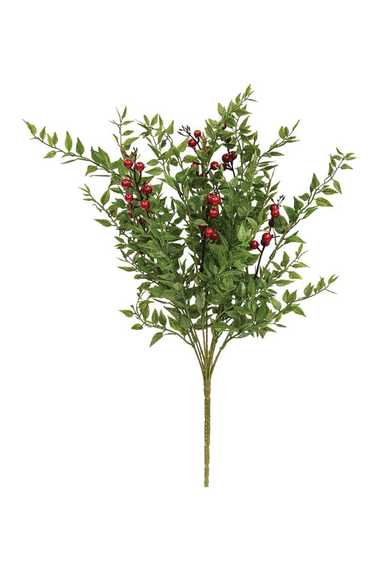 Lady Ruscus & Berries Bush - 19"