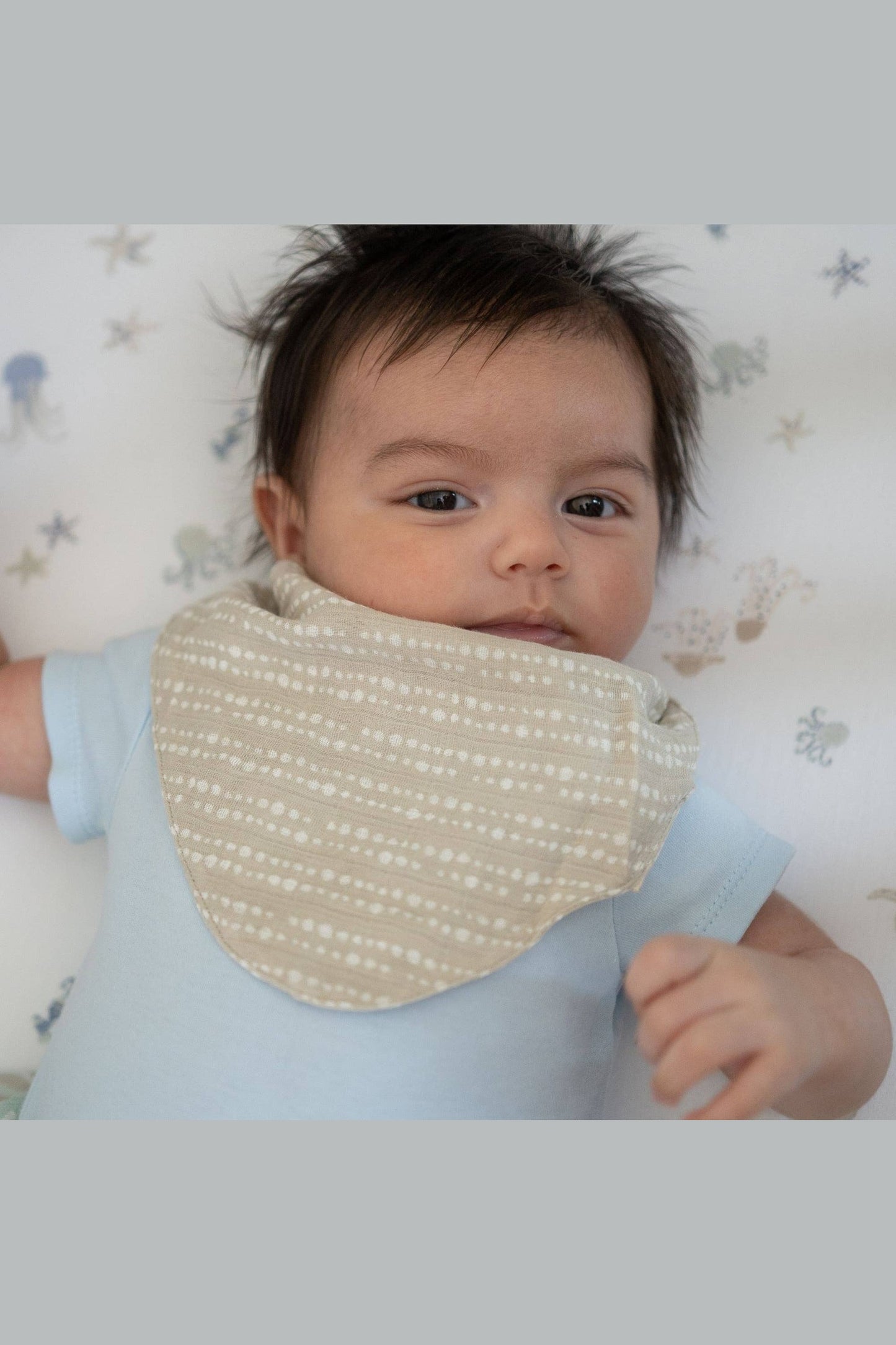 Cove 3-pc. Muslin Bib Set (Sea Life)