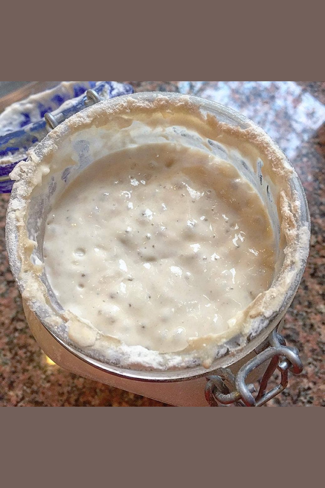Sourdough Starter