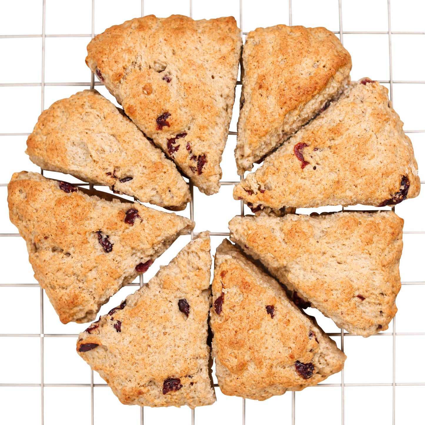 Wild Rice Cranberry-Orange Scone
