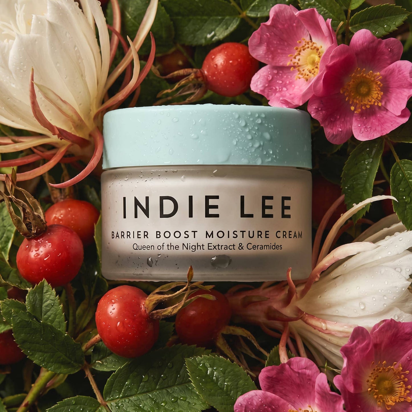 Barrier Boost Moisture Cream