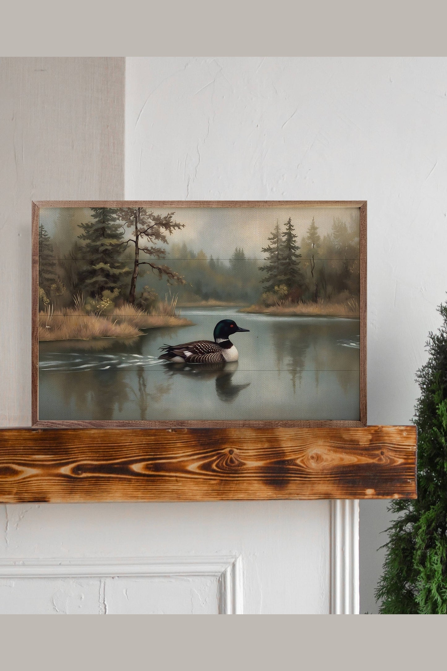 Loon In Pine Lake Print