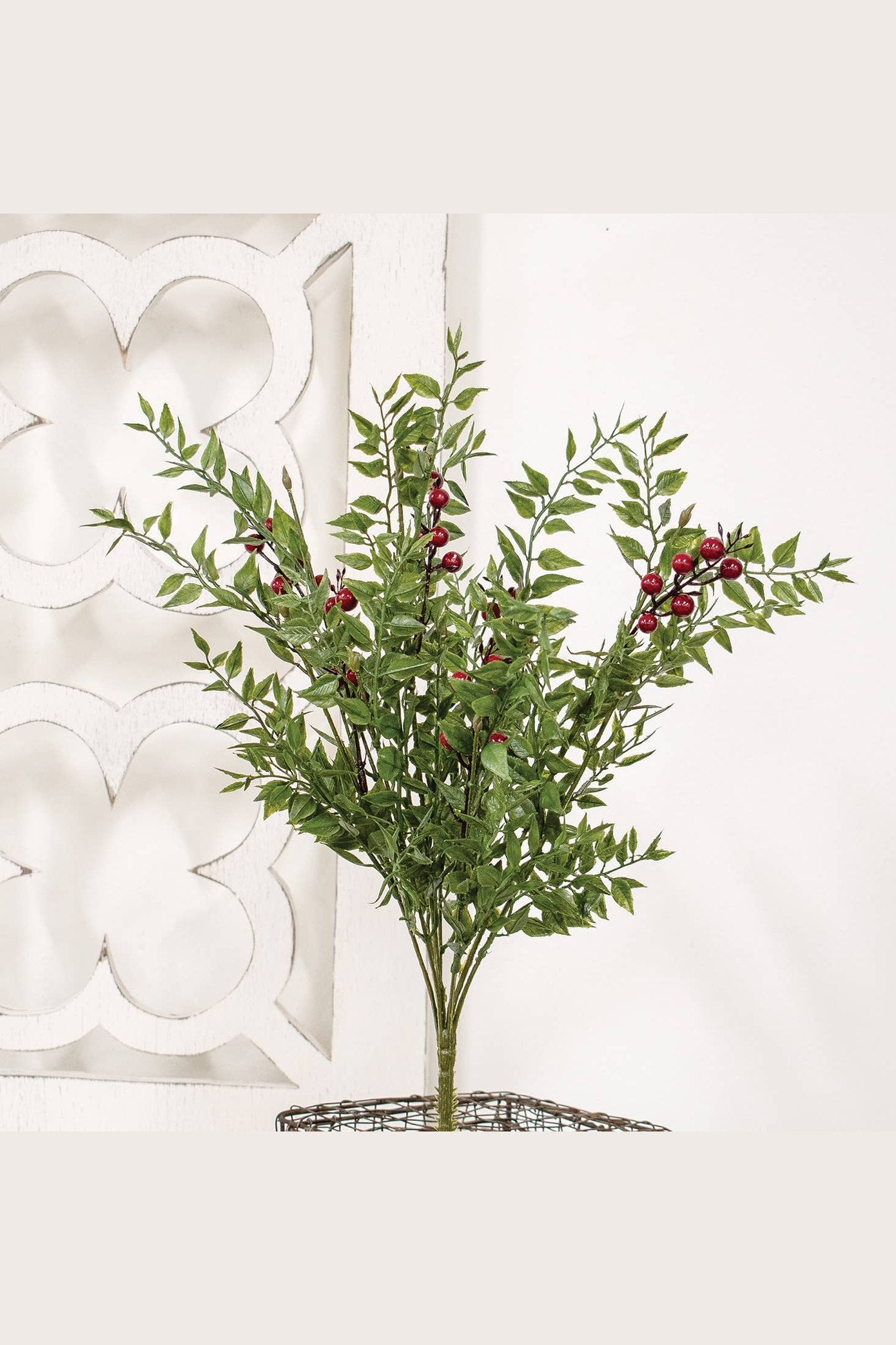 Lady Ruscus & Berries Bush - 19"
