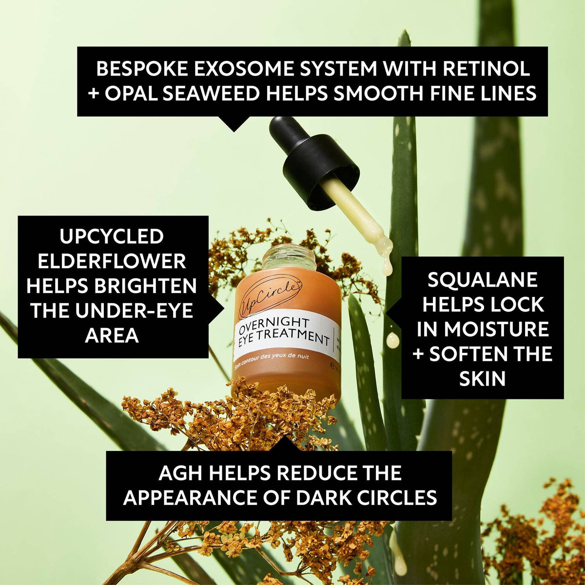 Vegan Overnight Eye Treatment - Retinol Exosomes + Seaweed